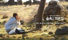 美国林中小屋在线观看,沉浸式在线探险之旅